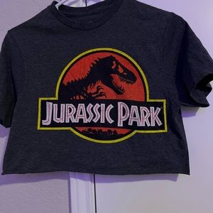 Jurassic Park Crop Top